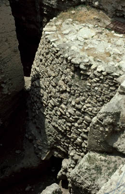 Art History Lectures by Ted Mahle &mdash; image 1 of 75