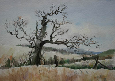 Drawing by Ted Mahle &mdash; image 70 of 75