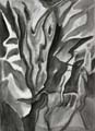 Drawing 26