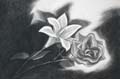Drawing 39