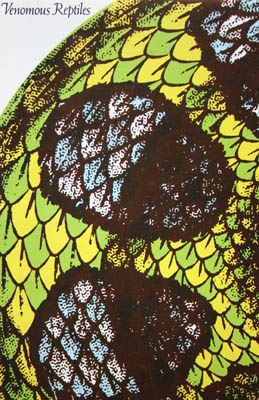 Graphics by Ted Mahle &mdash; image 35 of 75